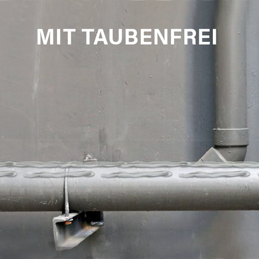 MASC Taubenfrei - Stange mit Taubenfrei