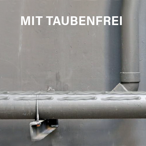 MASC Taubenfrei - Stange mit Taubenfrei