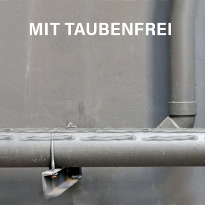 MASC - Taubenfrei Master-Set | Effektive & tierfreundliche Vogelabwehr