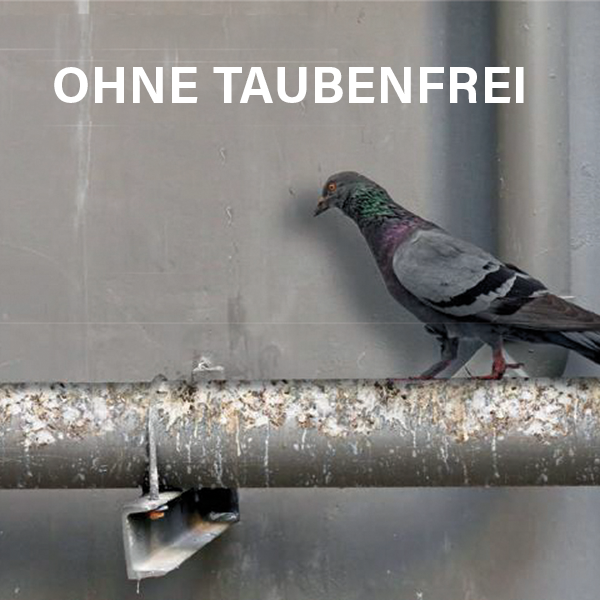 MASC Taubenfrei Stange mit Taube ohne Taubenfrei