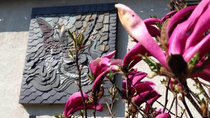 Freund  - SCHIEFERHAMMER UNIVERSO ORNAMENT, RECHTS ODER LINKS  freund   